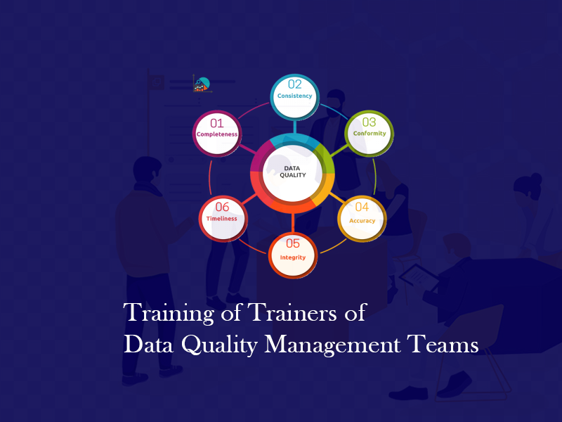 Training of Trainers of Data Quality Management Teams